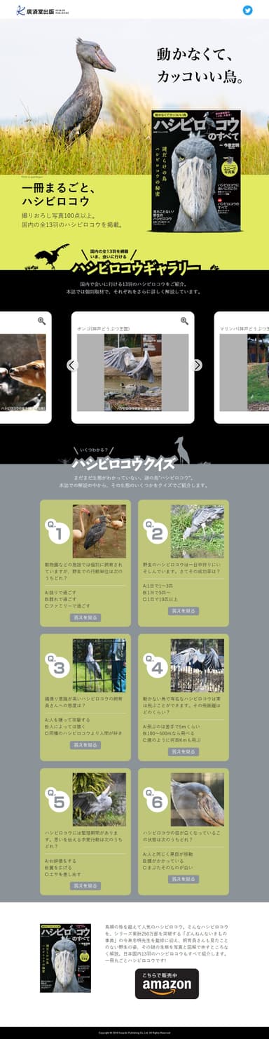 ハシビロコウのすべて　特設サイト