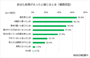 あなた自身が太ったと感じるとき