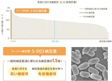 「S-903 納豆菌」の免疫に対する機能性(IL-12誘導評価)