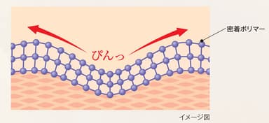 密着ポリマーで目元にハリ感