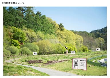 切り絵作家 早川鉄兵「昆虫図鑑の森」　※写真イメージ