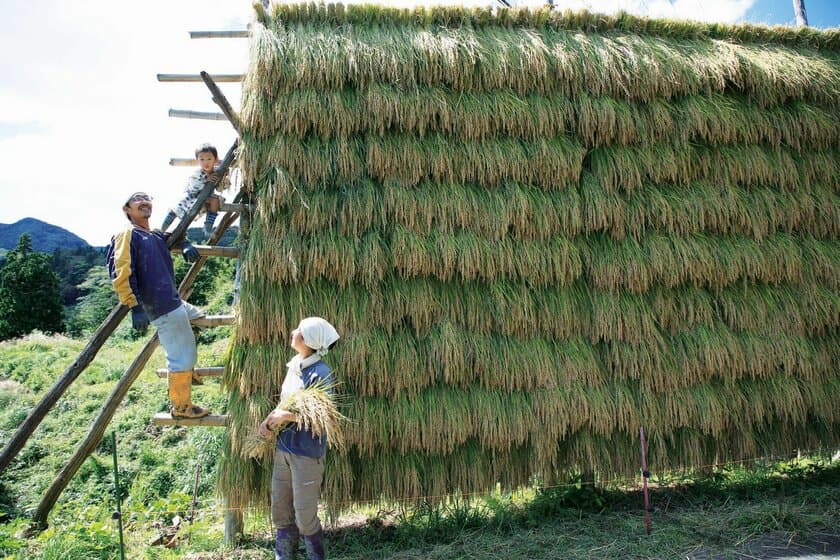 「有機農業」に取り組む先輩移住者と交流できる
無料セミナーを8月3日(土)に大阪で開催