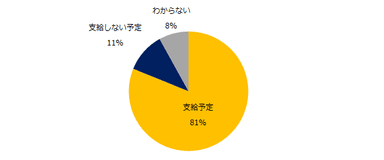 2019年、夏季賞与は支給予定ですか？