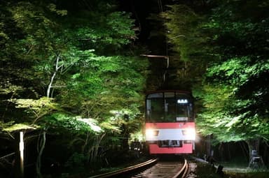 過去開催時の様子(もみじのトンネル)