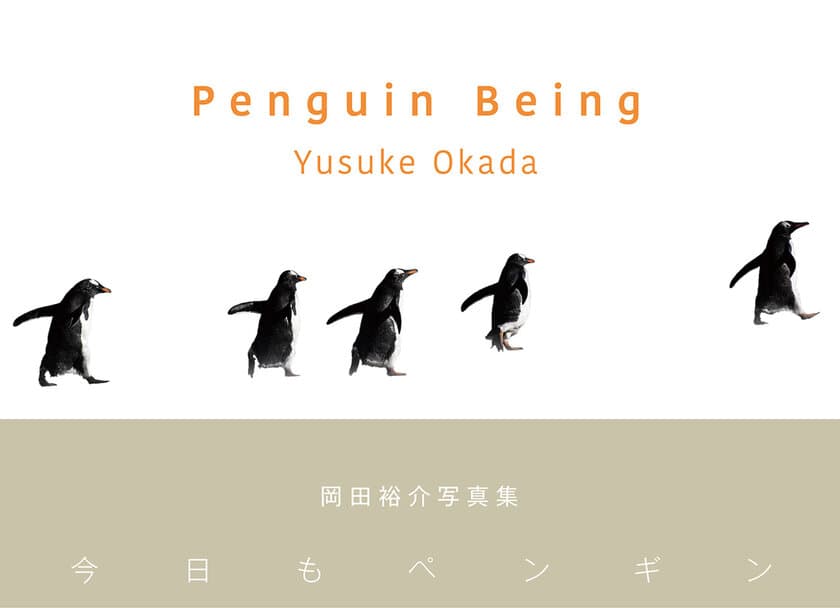 ネイチャーカメラマンであり、
GLAYをはじめ著名アーティストのライブ撮影も行う
岡田裕介氏が数年をかけて捉えた、フォークランド諸島
に住むペンギンたちの写真集。