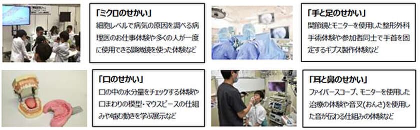 子どもも大人も みんなで「医療・健康」を楽しく体験しよう！
「なるほど医学体験!HANSHIN健康メッセ2019」開催!!
～遊んで学んで広がる健康の絆～