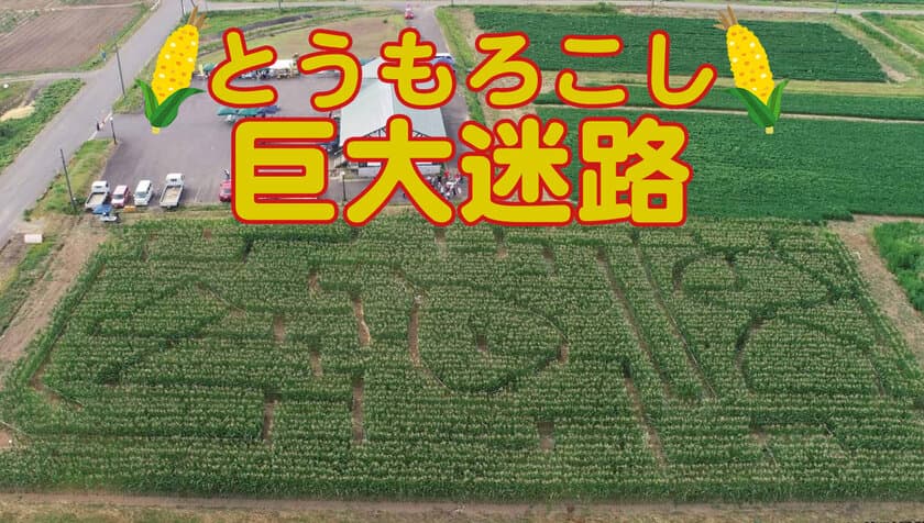 「とうもろこし巨大迷路」7/20オープン！
庄内平野・日本海まで一望できる月山高原に期間限定出現