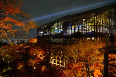 清水寺夜間特別拝観プラン