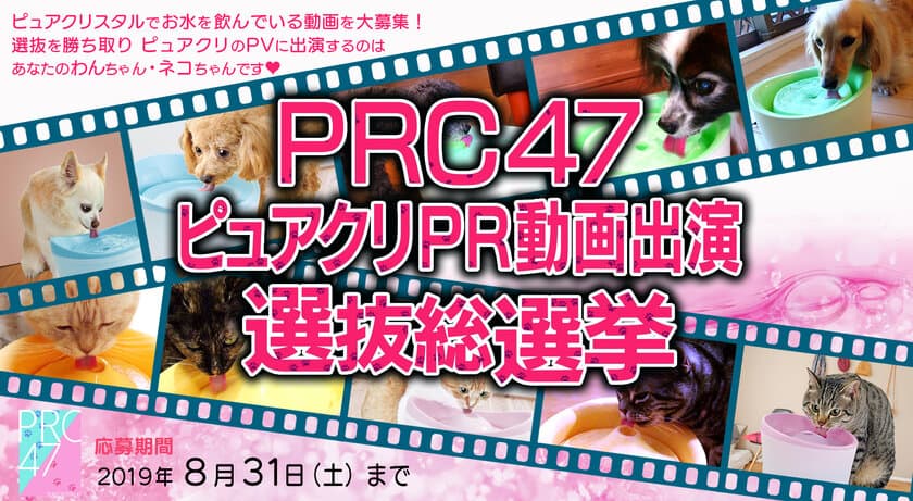 あなたのわんちゃん・ネコちゃんがPR動画に出演！？
「PRC47ピュアクリPR動画出演選抜総選挙」開催！