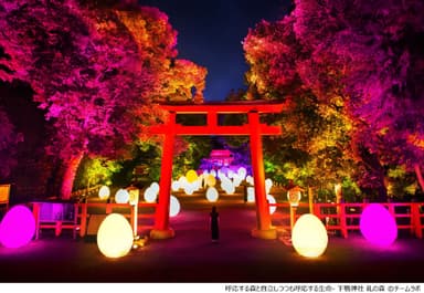 呼応する森と自立しつつも呼応する生命 ー 下鴨神社 糺の森 （C）チームラボ