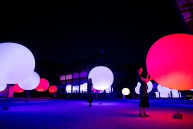 浮遊する、呼応する球体 - 下鴨神社/ Floating&#44; Resonating Spheres - Shimogamo Shrine