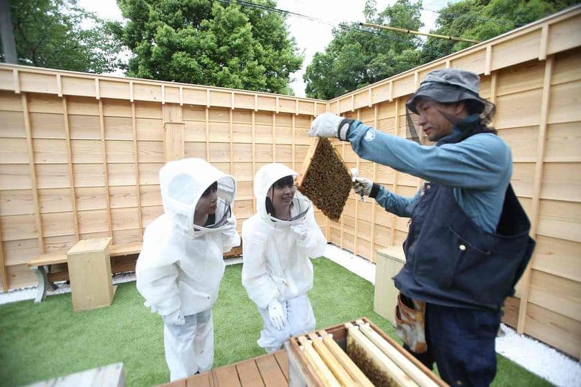 夏休みの予約まだ間に合う！
伊勢志摩で「はちみつ採取体験」の受付開始