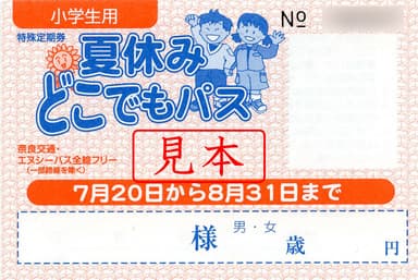 夏休みどこでもパス小学生用