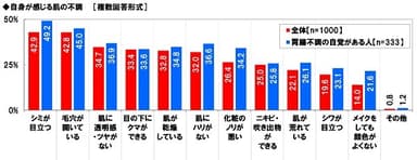 自身が感じる肌の不調