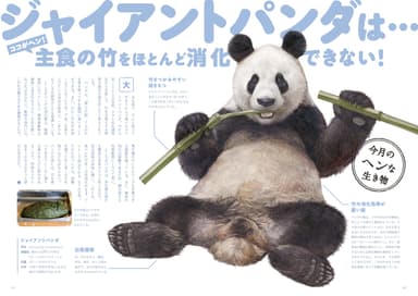 ヘンな動物も登場！