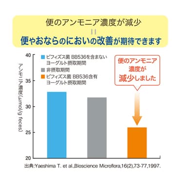 ビフィズス菌グラフ