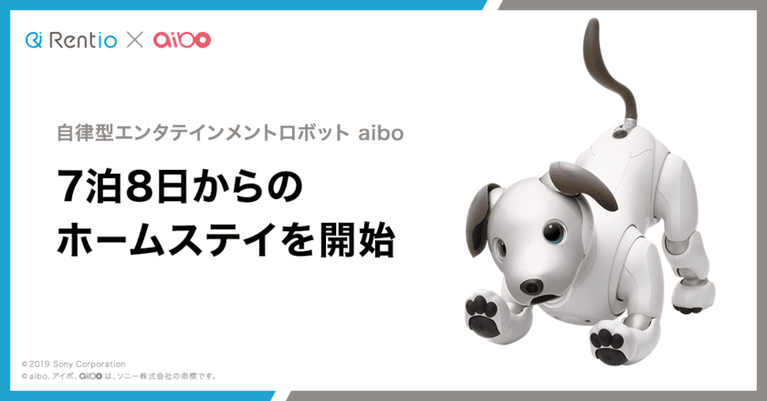 Rentioがソニーの自律型エンタテインメントロボット aiboの
ホームステイを開始　
7泊8日～、aiboとの楽しい生活が可能に！