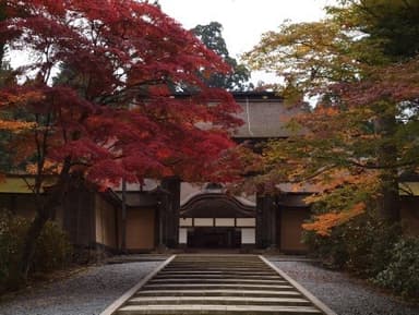 金剛峯寺山門前の紅葉