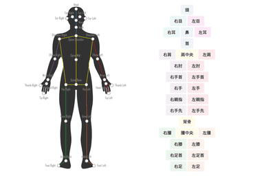 VisionPose検出ポイント(2D)