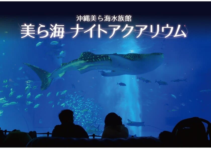 沖縄美ら海水族館で「美ら海ナイトアクアリウム」を開催　
8月1日～9月1日まで夏休み限定で夜の水族館を満喫