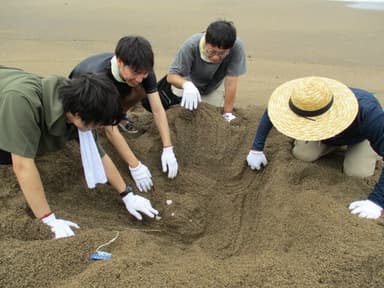 ウミガメの卵の位置を確認