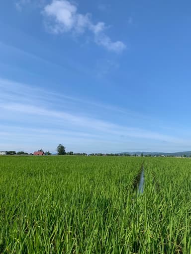 お店からの風景