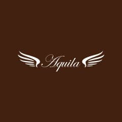 合同会社Aquila(アークイラ)