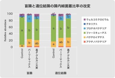 盲腸と遠位結腸の腸内細菌叢比率の改変