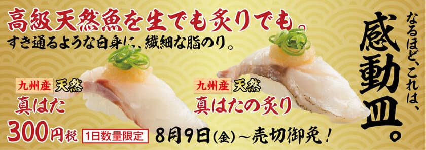 夏の今が旬の高級魚！九州産天然真はたがスシローに登場！
『真はた』 300円（＋税）
～一生に一度は味わいたい贅沢な逸品を驚きの価格でご提供～
