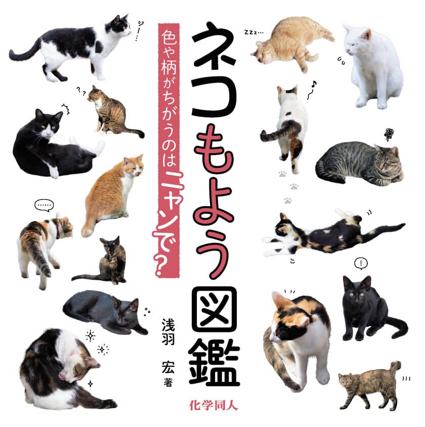 8月8日「世界ネコの日」に『ネコもよう図鑑』を刊行　
街で出会うネコたちがいつもと違って見えてくる！