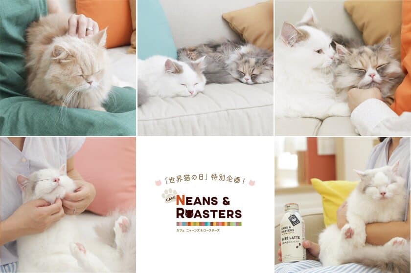 8月8日「世界猫の日」は、猫とほっこり癒される1日に！
“ＢＥＡＮＳ ＆ ＲＯＡＳＴＥＲＳ”×世界猫の日
＝“ＮＥＡＮＳ ＆ ＲＯＡＳＴＥＲＳ”
8通りの猫の癒し方を教えてくれる
「＃ほっこりニャレンジ」動画公開！