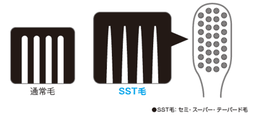 SST毛とは