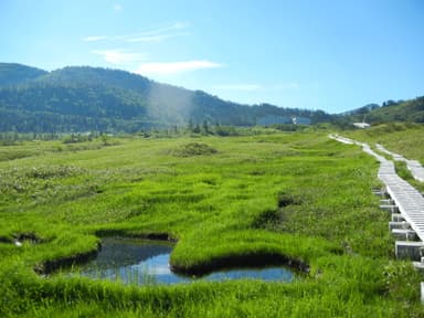 広大な弥陀ヶ原の湿原