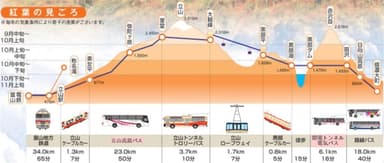 新紅葉断面図(乗り物入り）