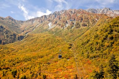 黄金色に輝くタンボ平を、立山ロープウェイで紅葉飛行(1)