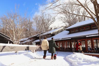 【星野エリア】ハルニレテラス 雪景色1