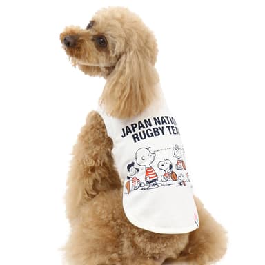 Tシャツ　(C) JRFU　(C) 2019 Peanuts Worldwide LLC