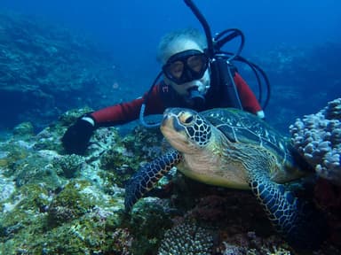 夢を叶え、ウミガメと泳ぐ伊藤さん