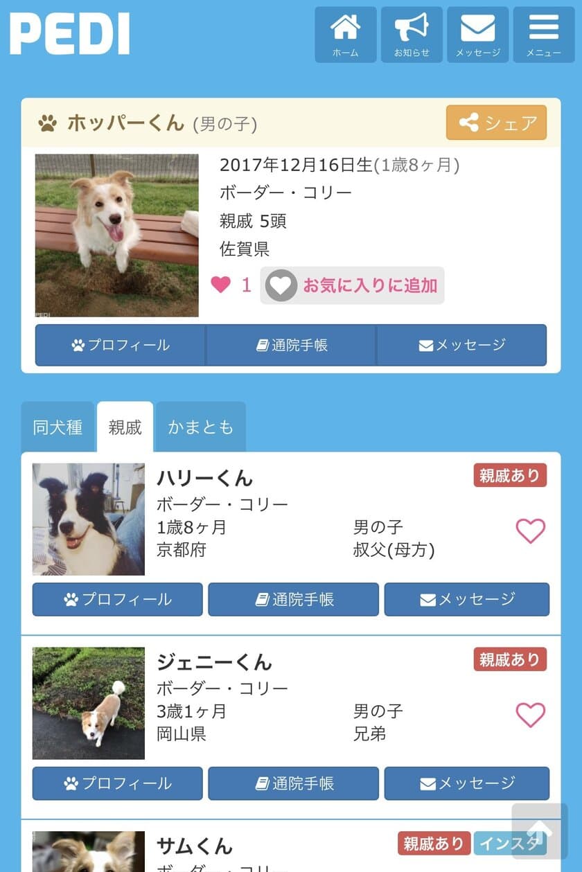 愛犬の親戚が見つかる、犬専用SNS『PEDI(ペディ)』が
登録頭数10万頭突破