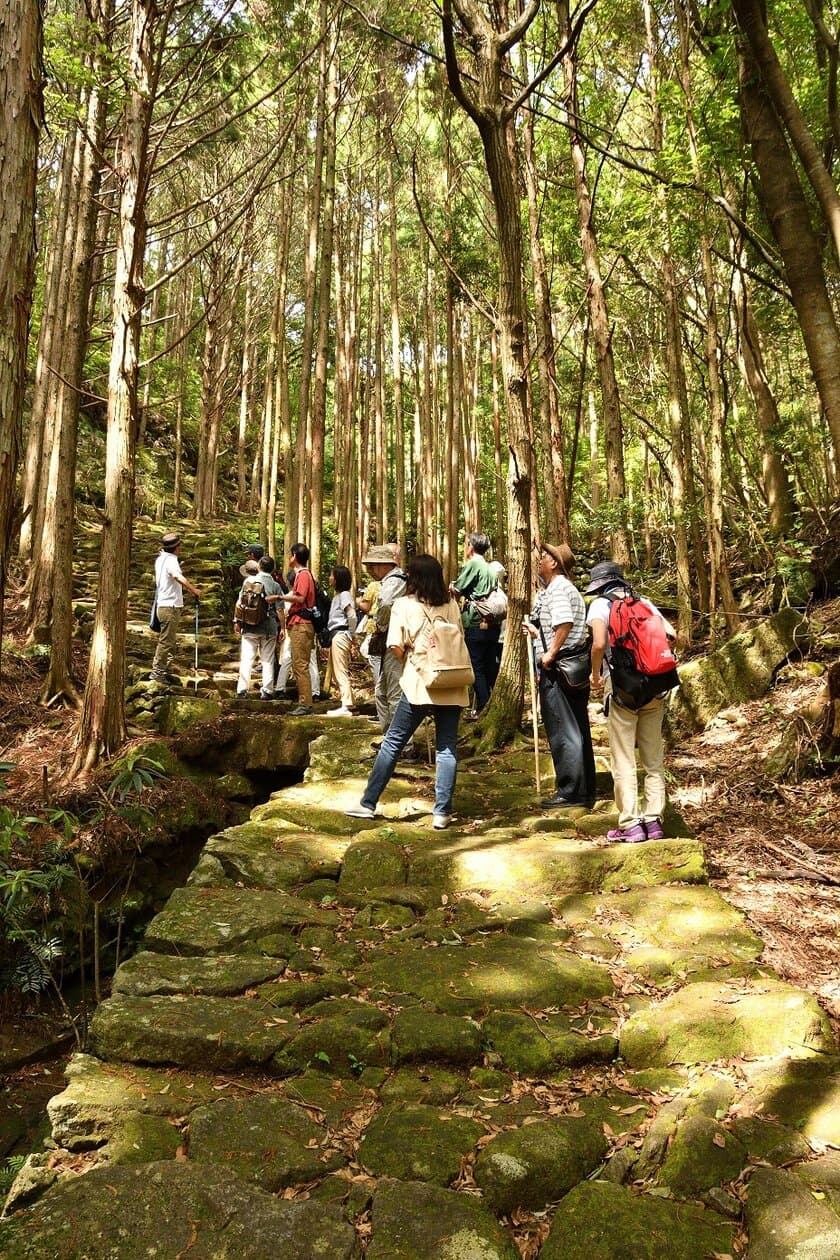 熊野古道世界遺産登録15周年！
三重県熊野市でプレミアムなツアーを実施