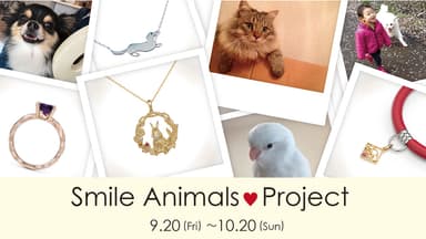 Smile Animals Project