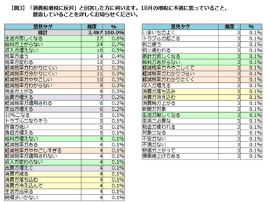 【図3】増税への不満・懸念