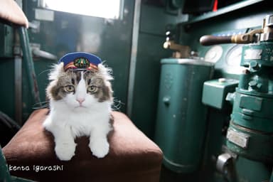 芦ノ牧温泉駅らぶ駅長