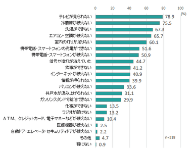 図4 停電による困りごと