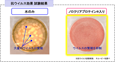 ５枚目