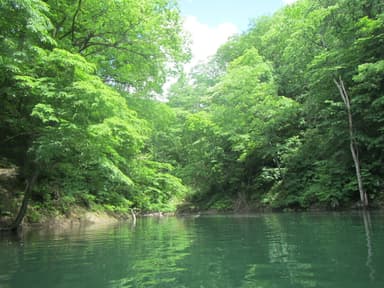 新緑茂庭っ湖