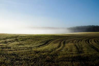 心を落ち着かせてくれる、オストロボスニアに広がる平らな大地