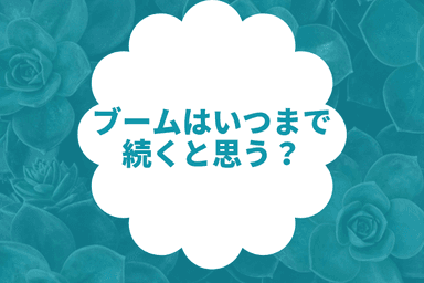 ブームはいつまで続く？