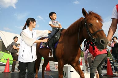 乗馬体験コーナー