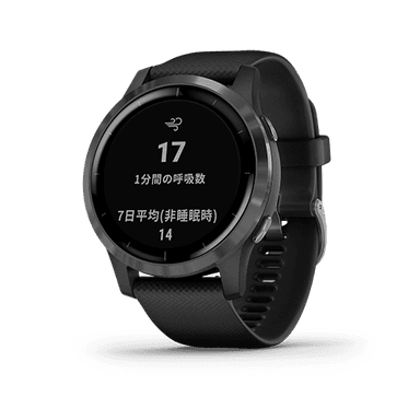 vivoactive 4 Black/Slate